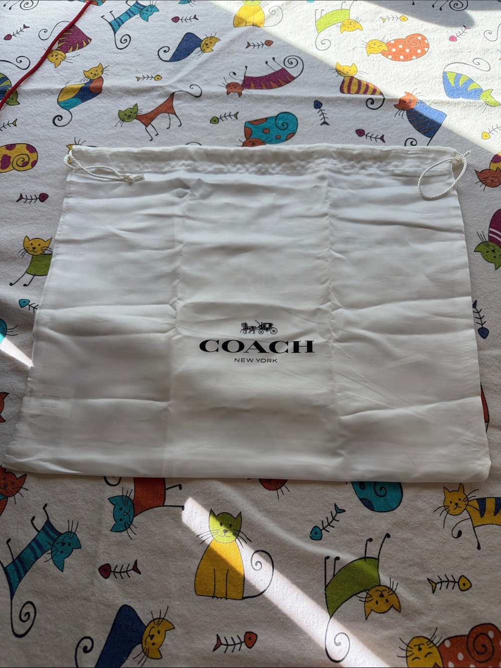 🌺 COACH White Drawstring Logo Dust Bag 🌺